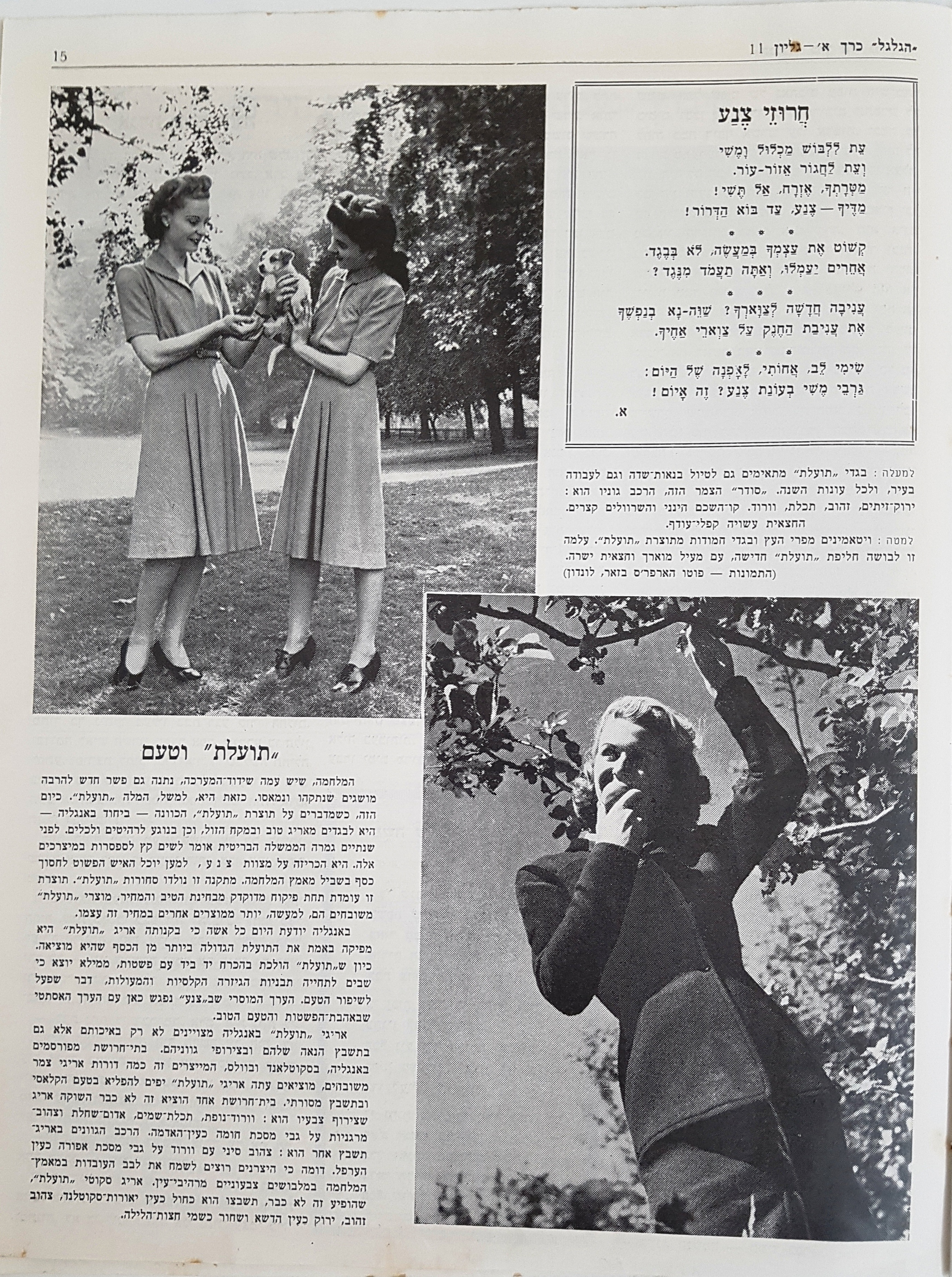   Photo: Inside Front Cover