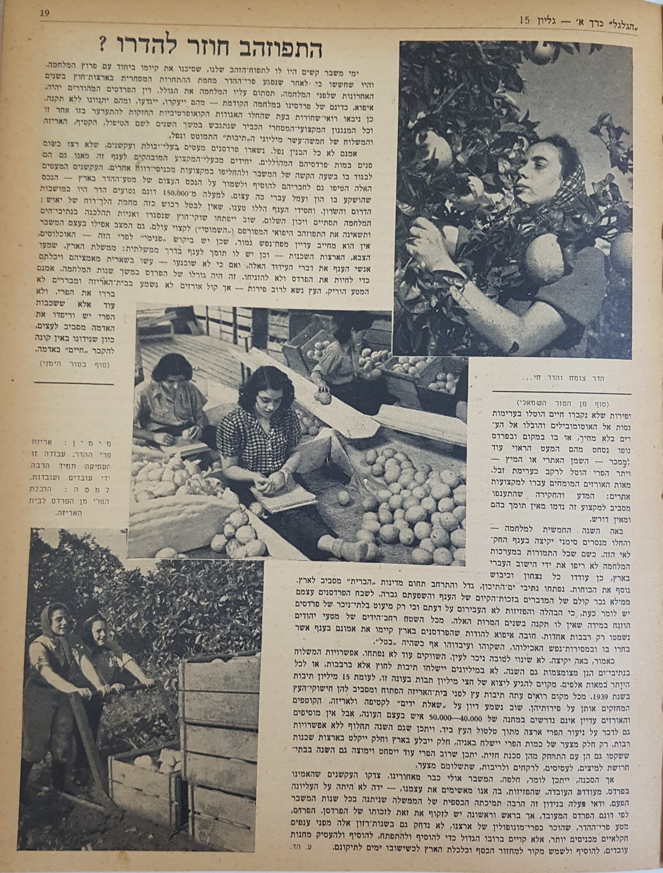   Photo: Inside Front Cover