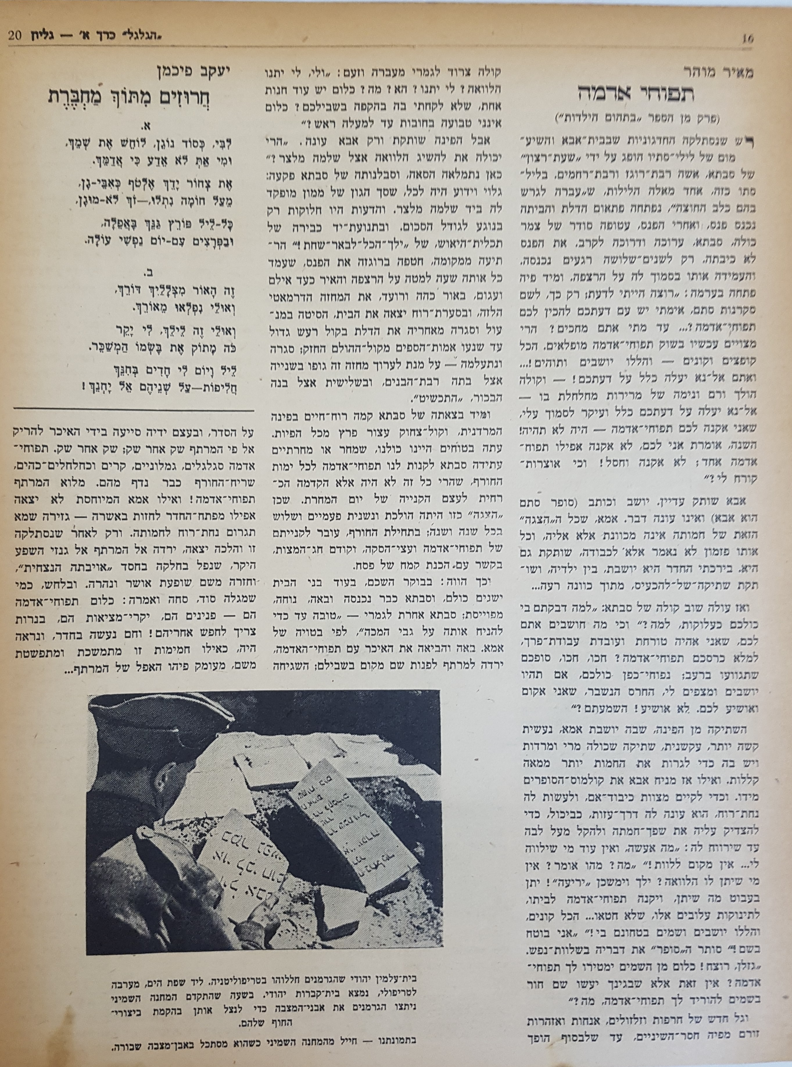   Photo: Inside Front Cover