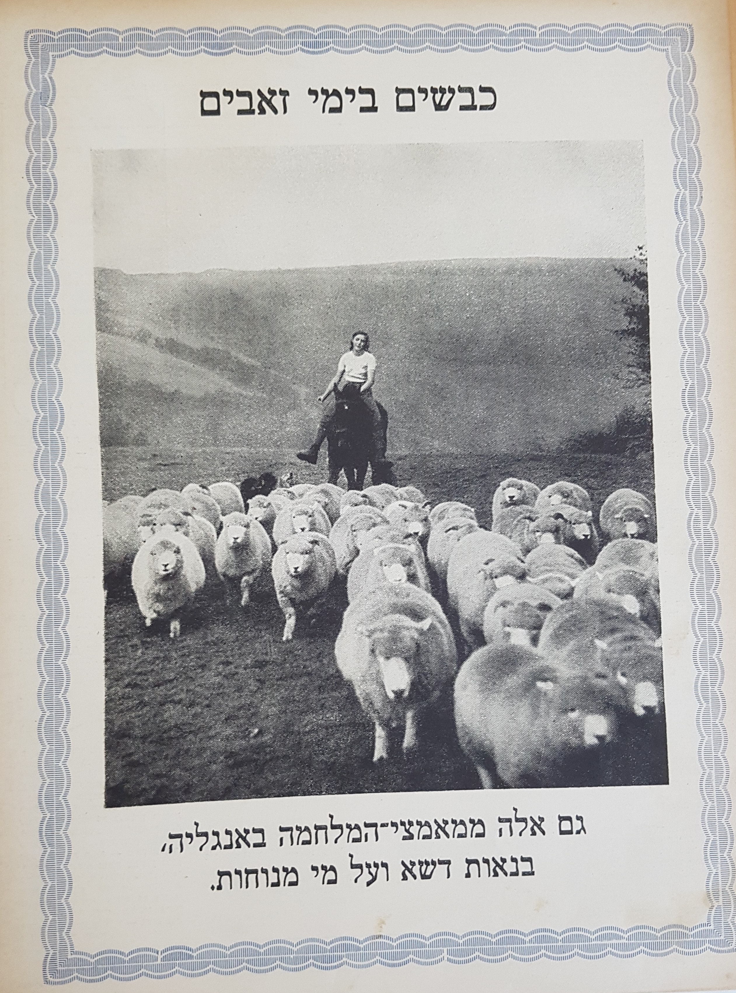   Photo: Inside Front Cover