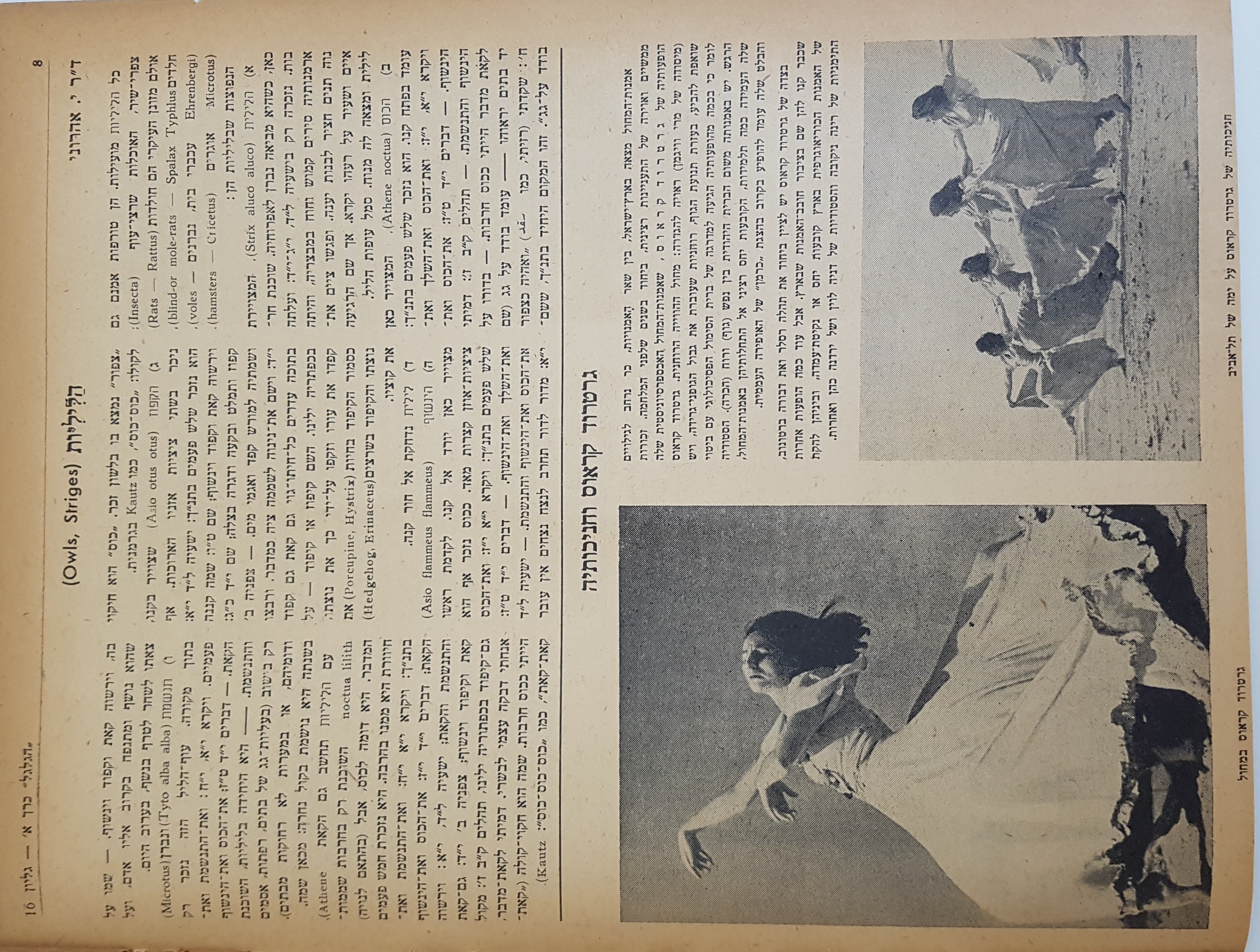  Photo: Inside Front Cover