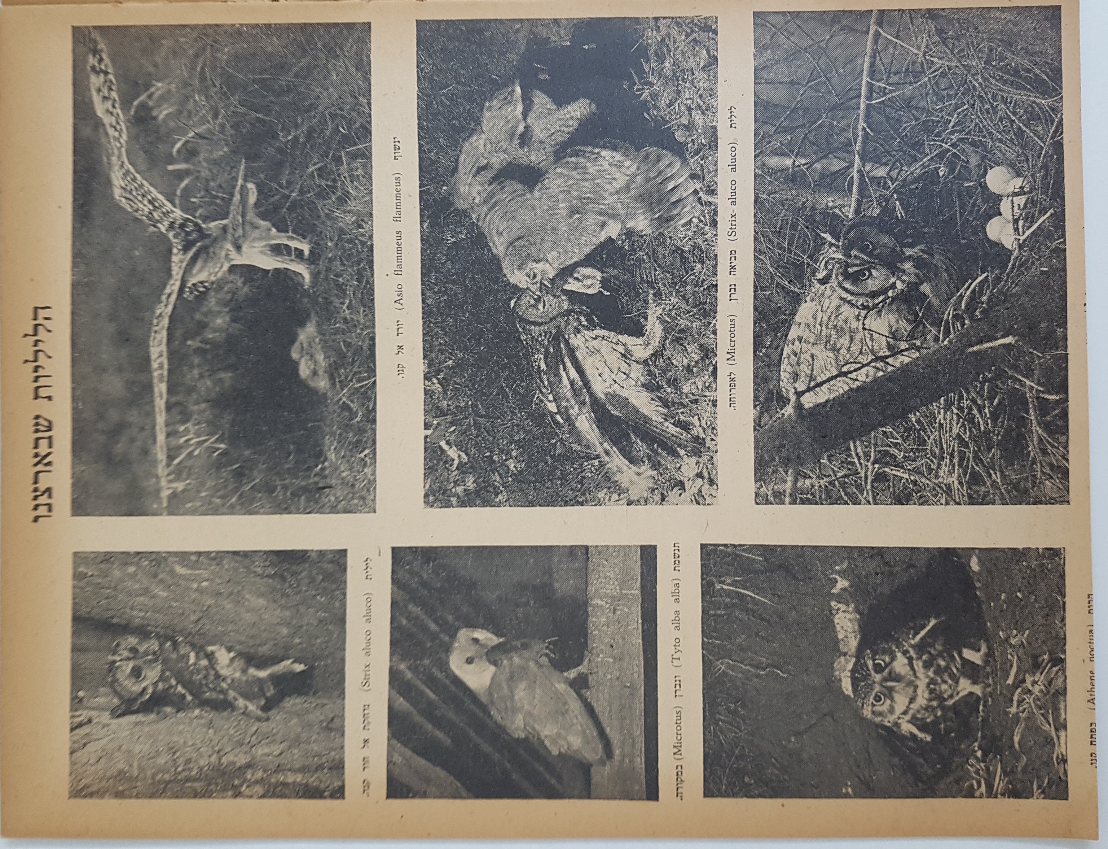   Photo: Inside Front Cover