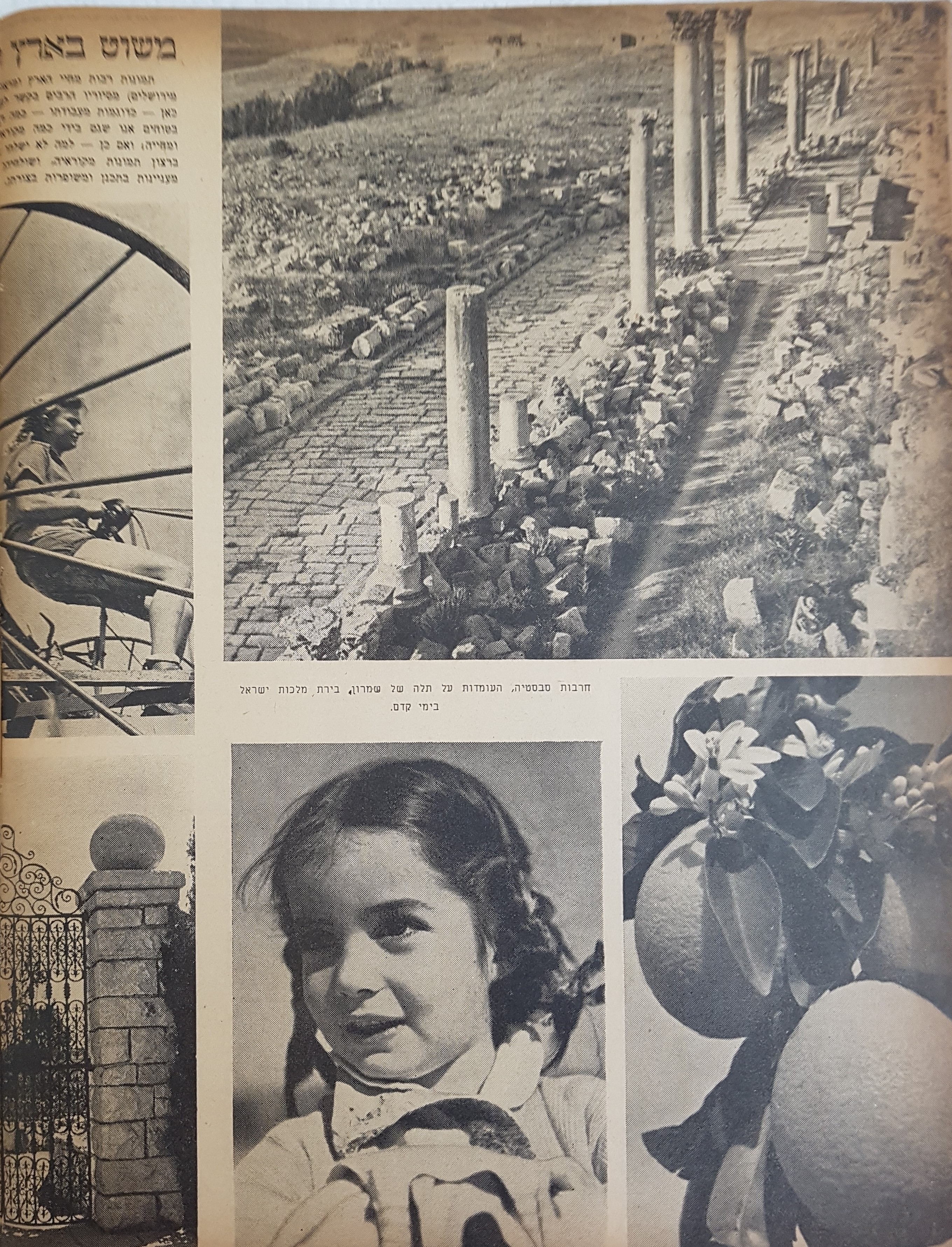   Photo: page 12