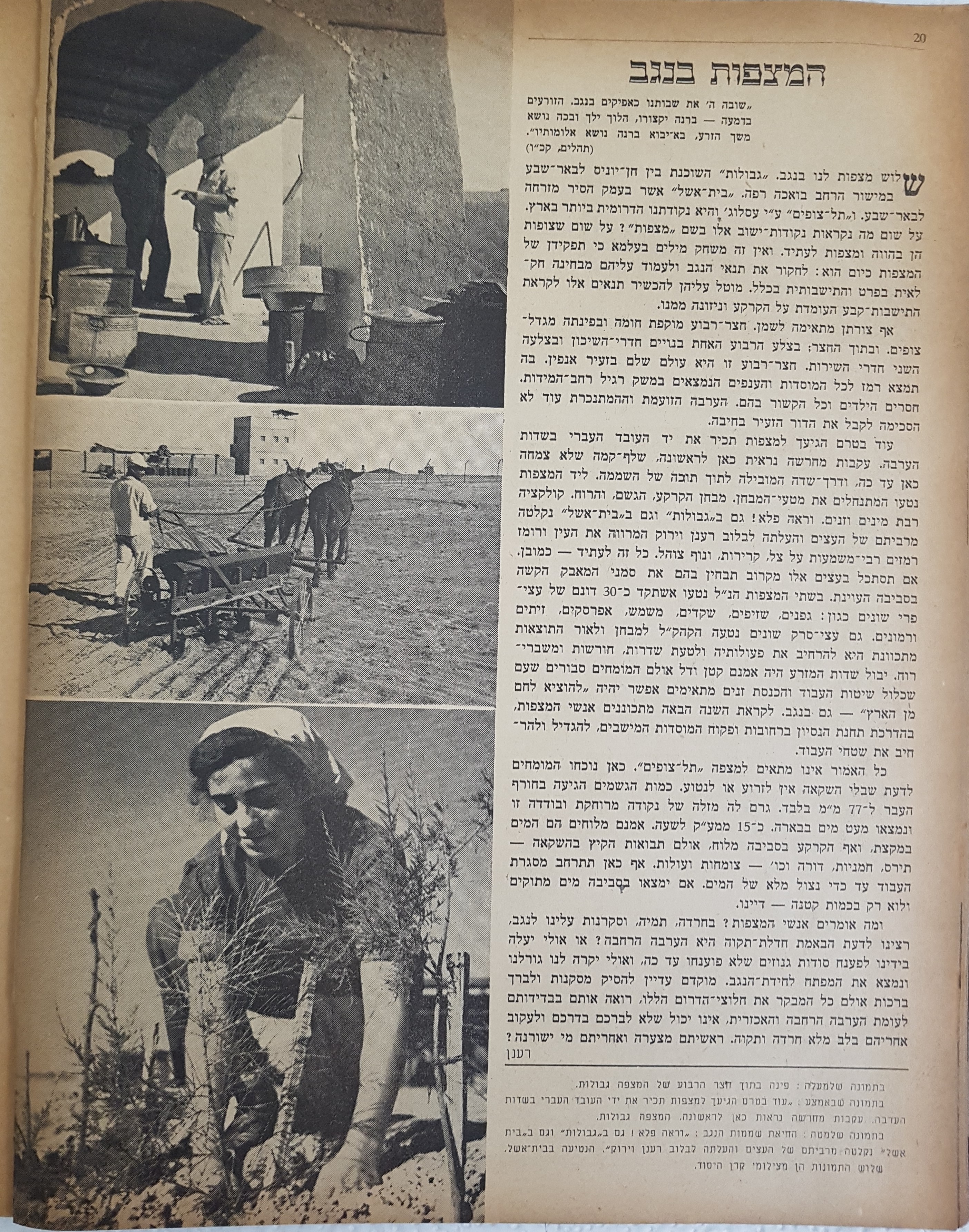   Photo: page 20