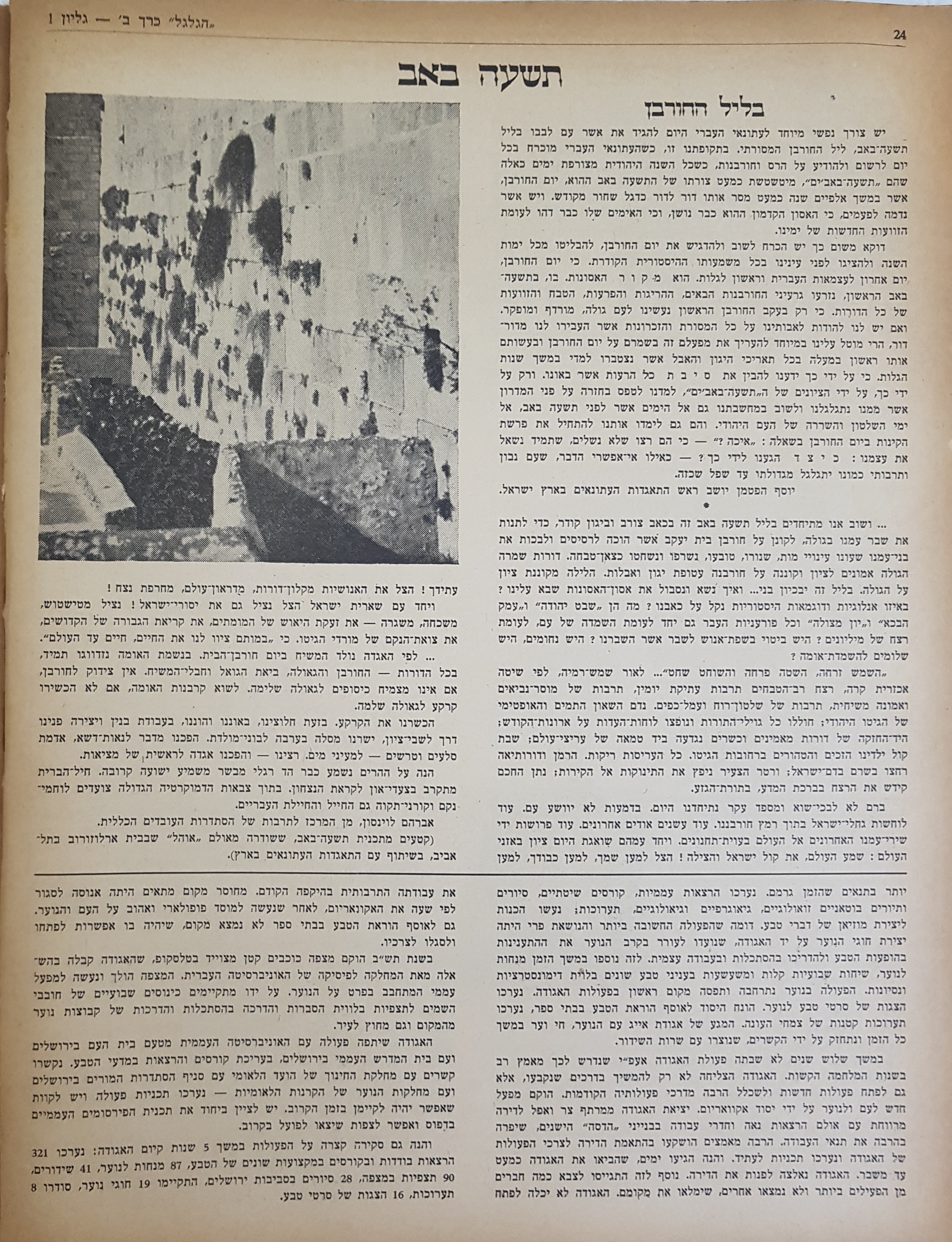   Photo: page 24