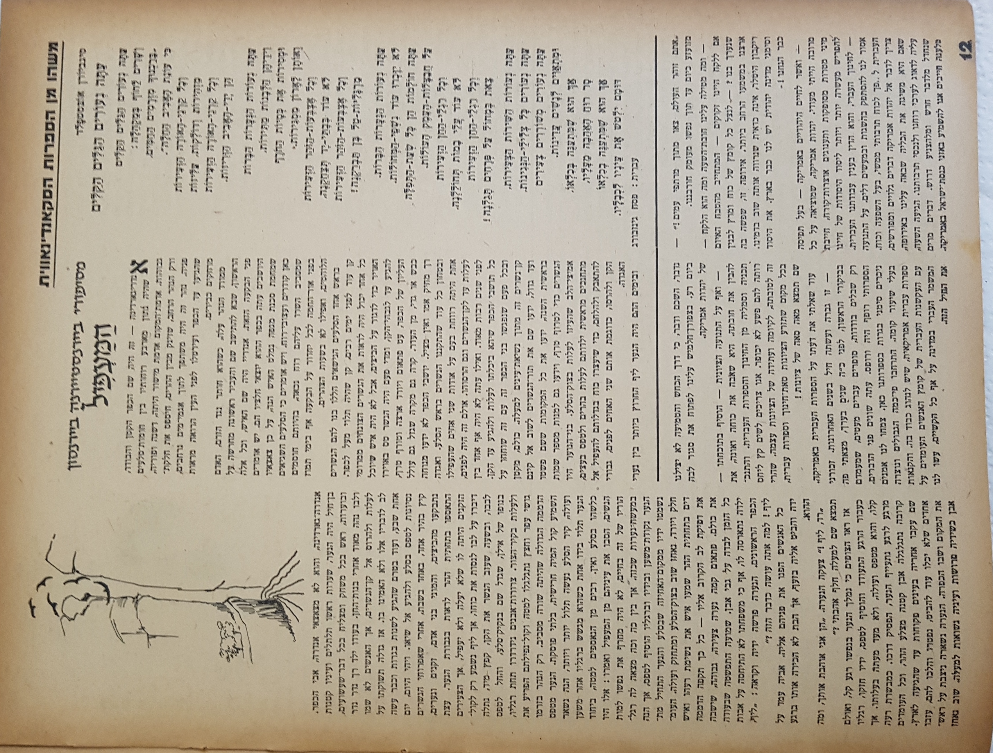   Photo: page 12