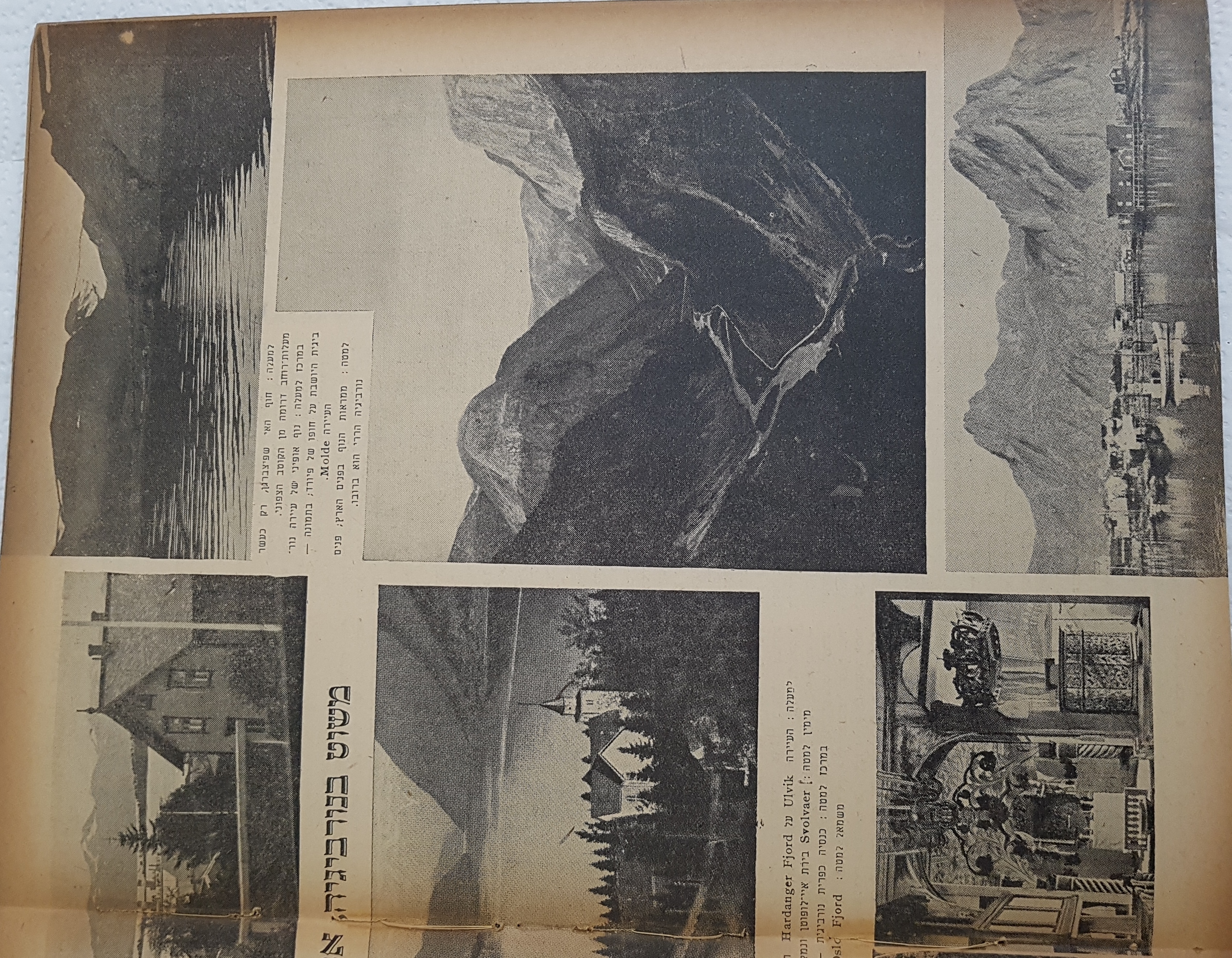   Photo: page 8