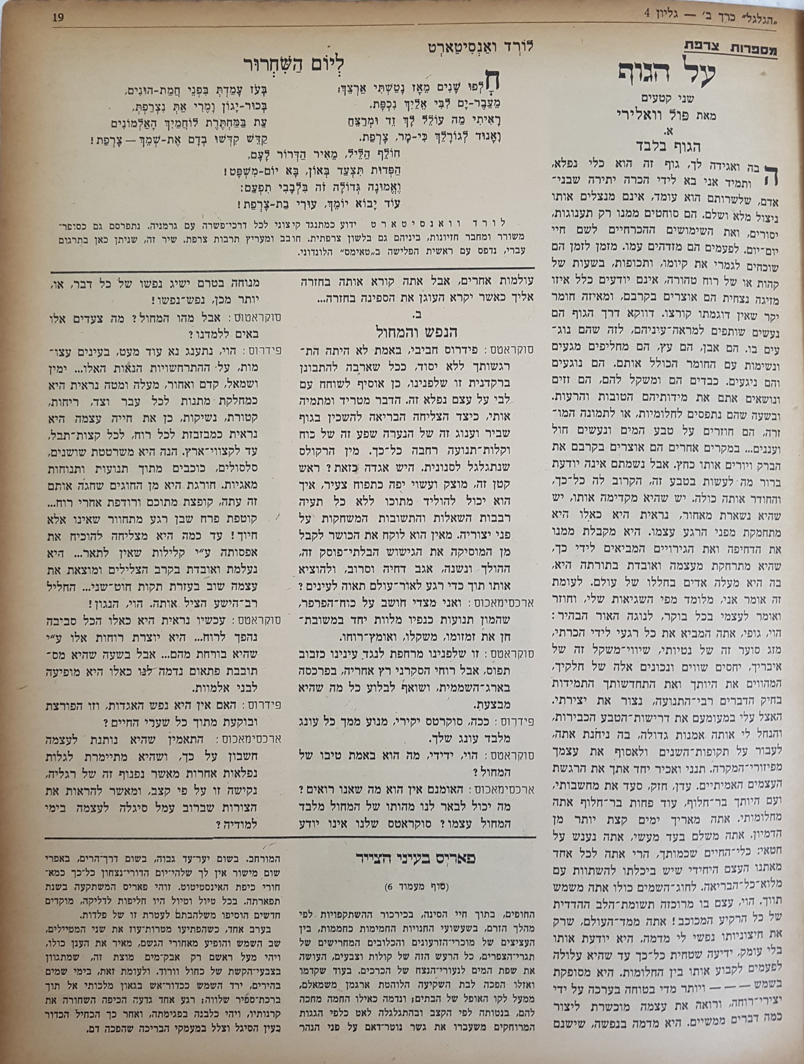   Photo: עמוד 19