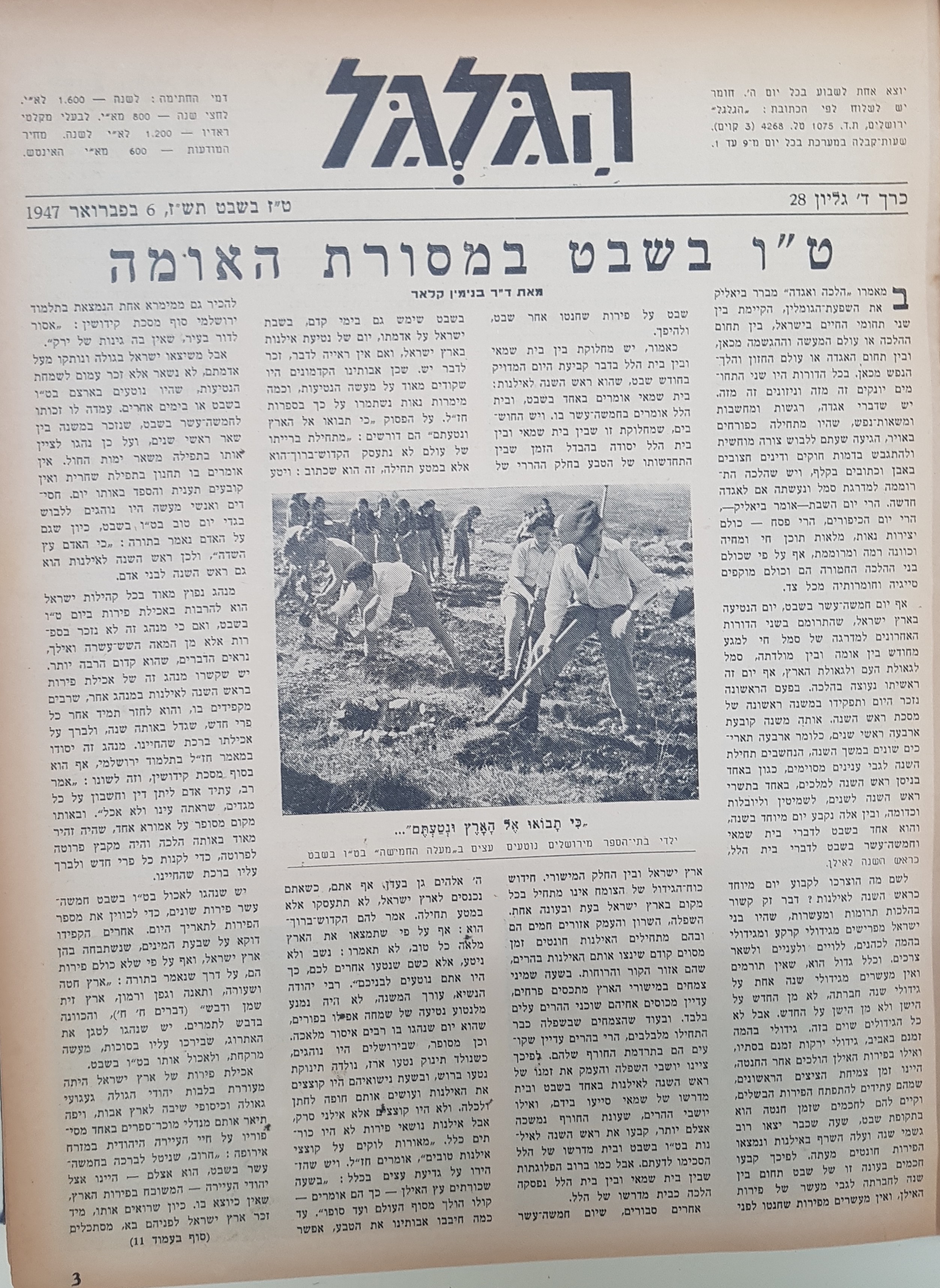   Photo: page 3