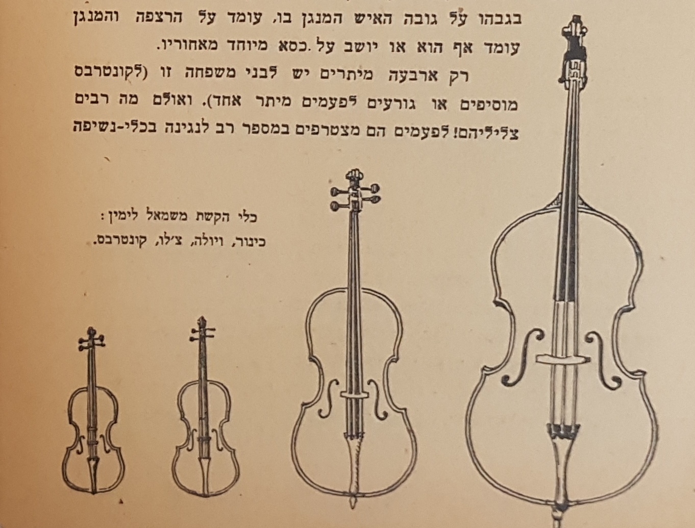 Drawing of string instrument family   Photo: p28
