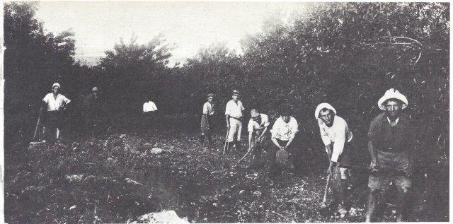  מכשירים קרקע לנטיעה  