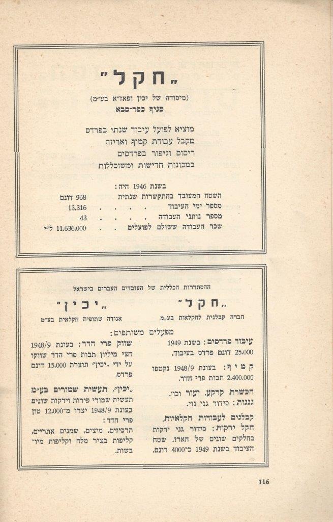   כפר-סבא: עשר שנים למועצה המקומית תש''י 1950