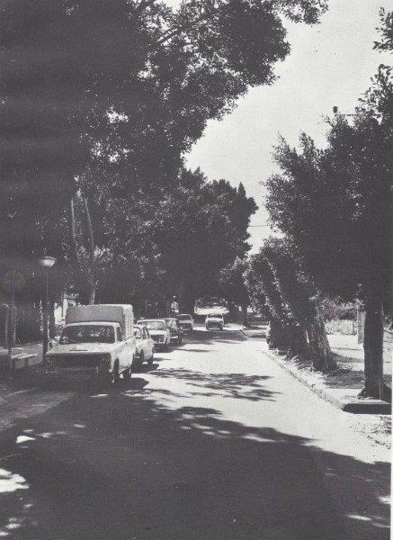  רחוב הרצל - הרחוב הראשון : צילום שחור ולבן