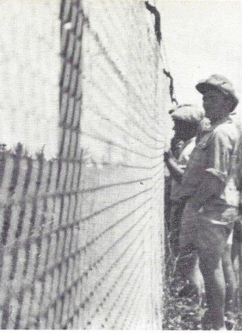  פועלים יהודים מחוץ לגדר  