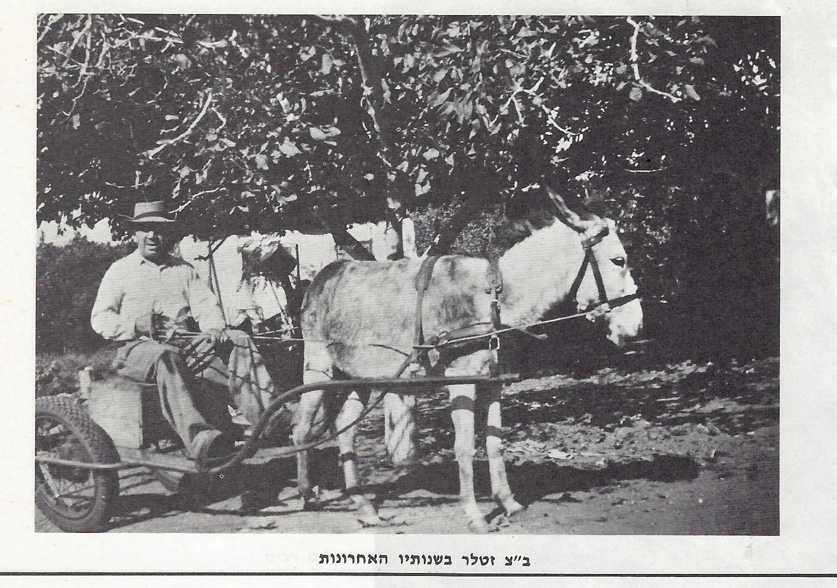 photpo of Benzion Zetler  and his donkey
