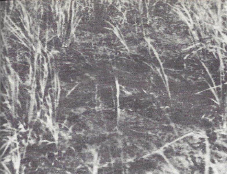  צילום של אדמת כפר-סבא השוממה  שחור לבן