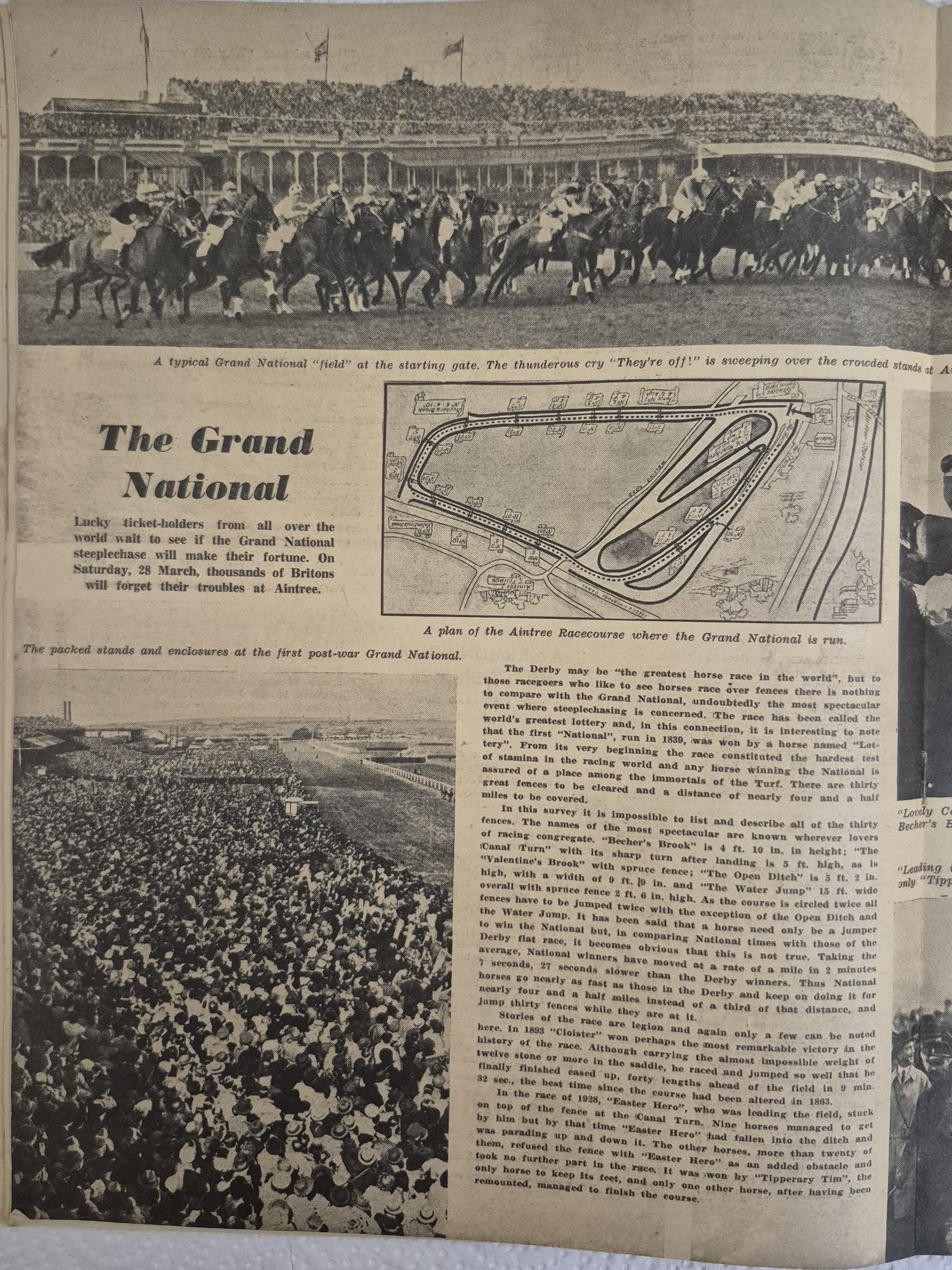   Photo: page 12