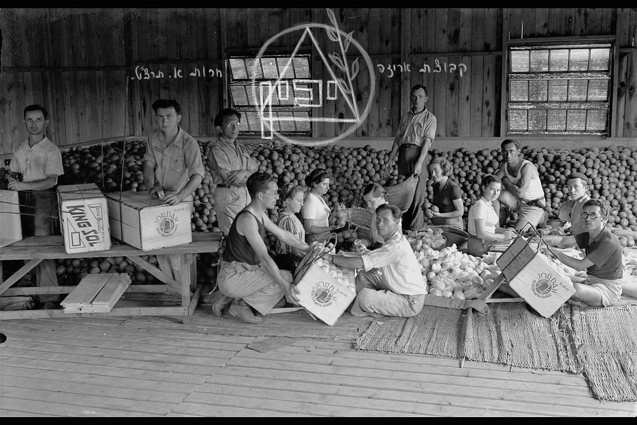 photo of the old Yakhin factory, MoshavHerut, 1939